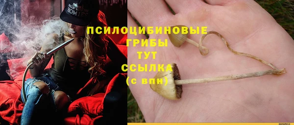 не бодяженный Армянск