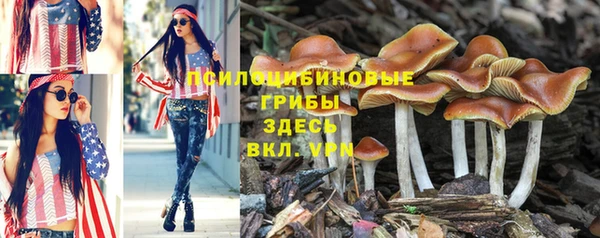 скорость Балабаново