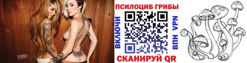 где купить   Бологое  Псилоцибиновые грибы прущие грибы 
